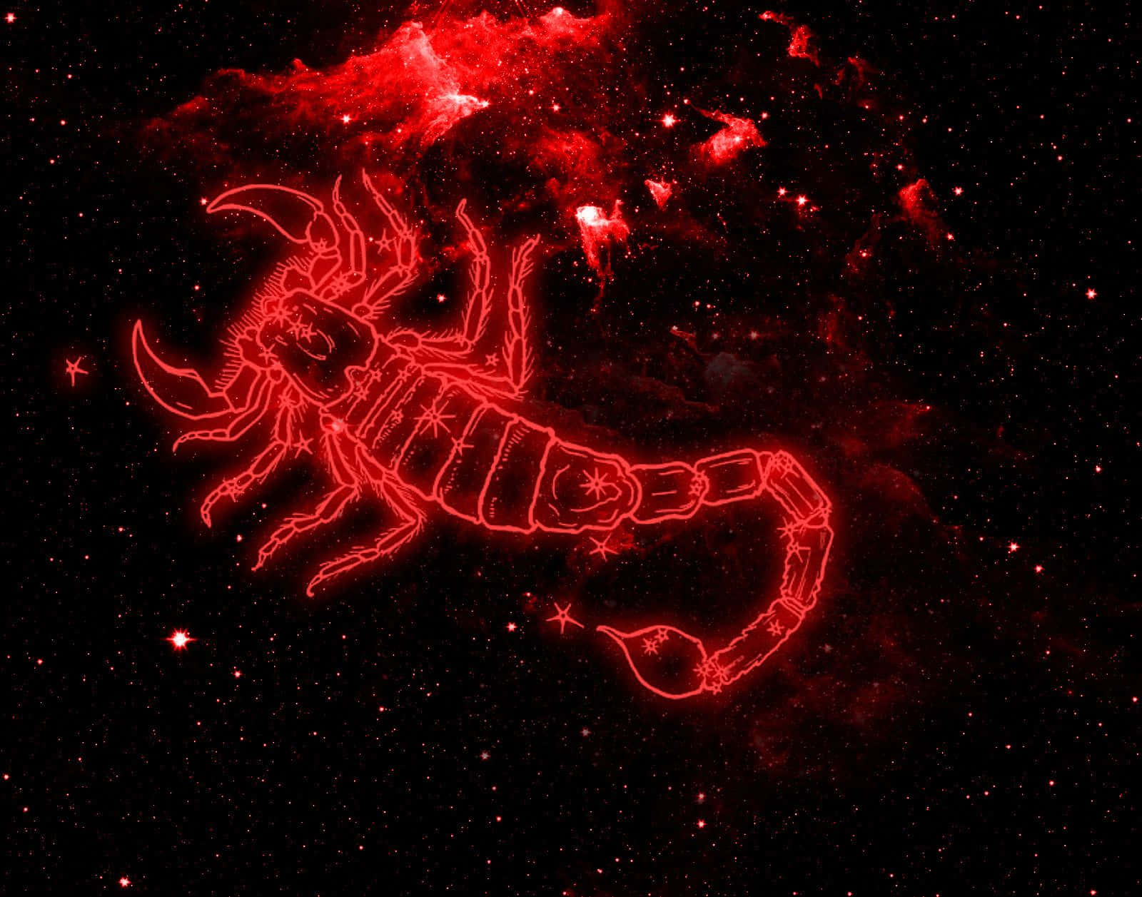 Powerful Red Scorpion on Black Background Wallpaper