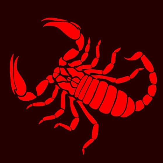 Fierce Red Scorpion in Action Wallpaper