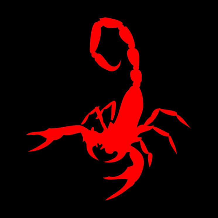 Red Scorpion Glowing in the Dark Wallpaper