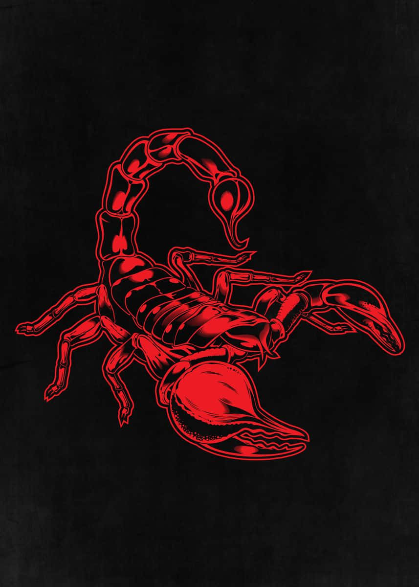 Intense Red Scorpion on Dark Background Wallpaper