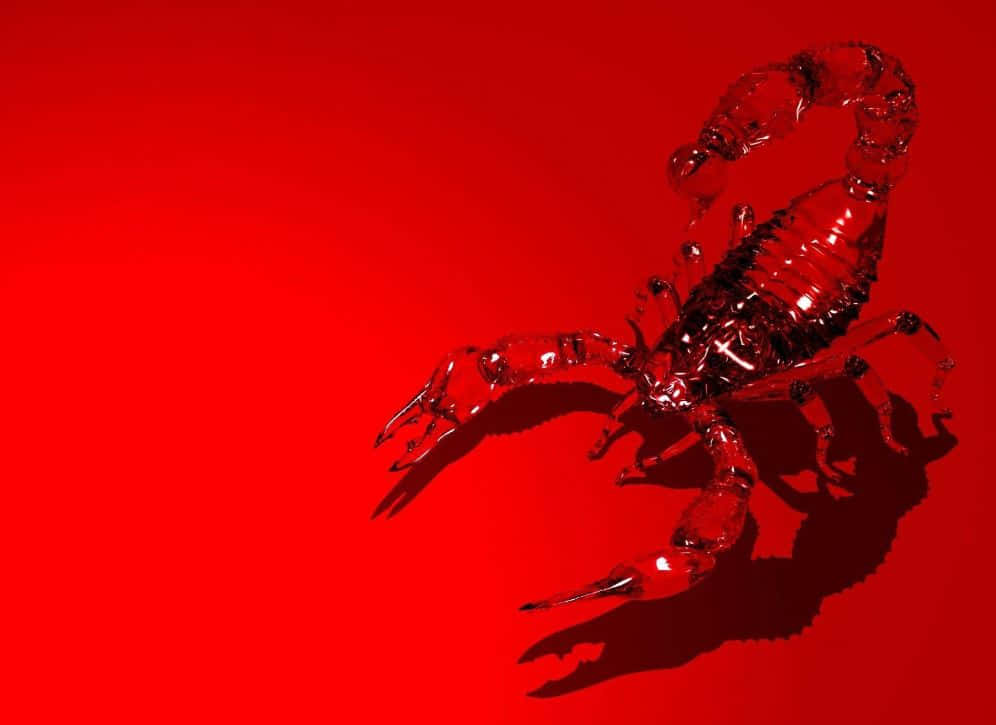 Fierce Red Scorpion in its natural habitat Wallpaper