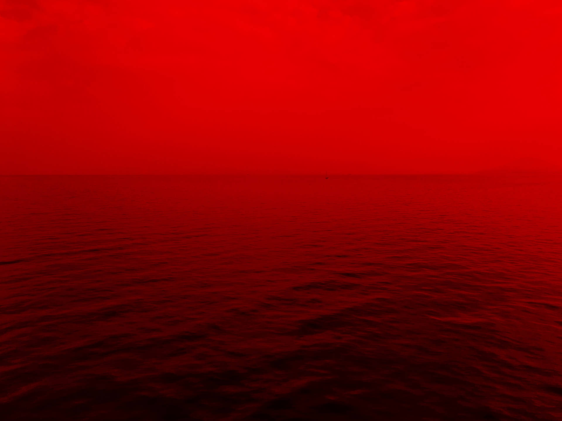 A stunning view of the vibrant Red Sea Wallpaper