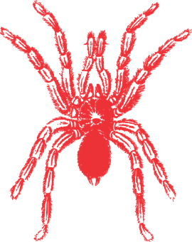 Red Silhouette Spideron Black Background PNG