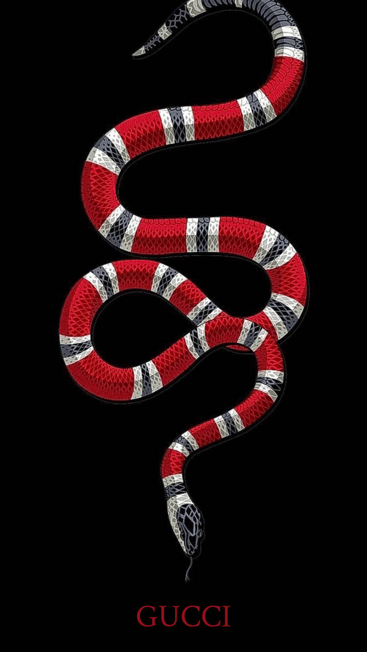 Red Snake Gucci Iphone Wallpaper