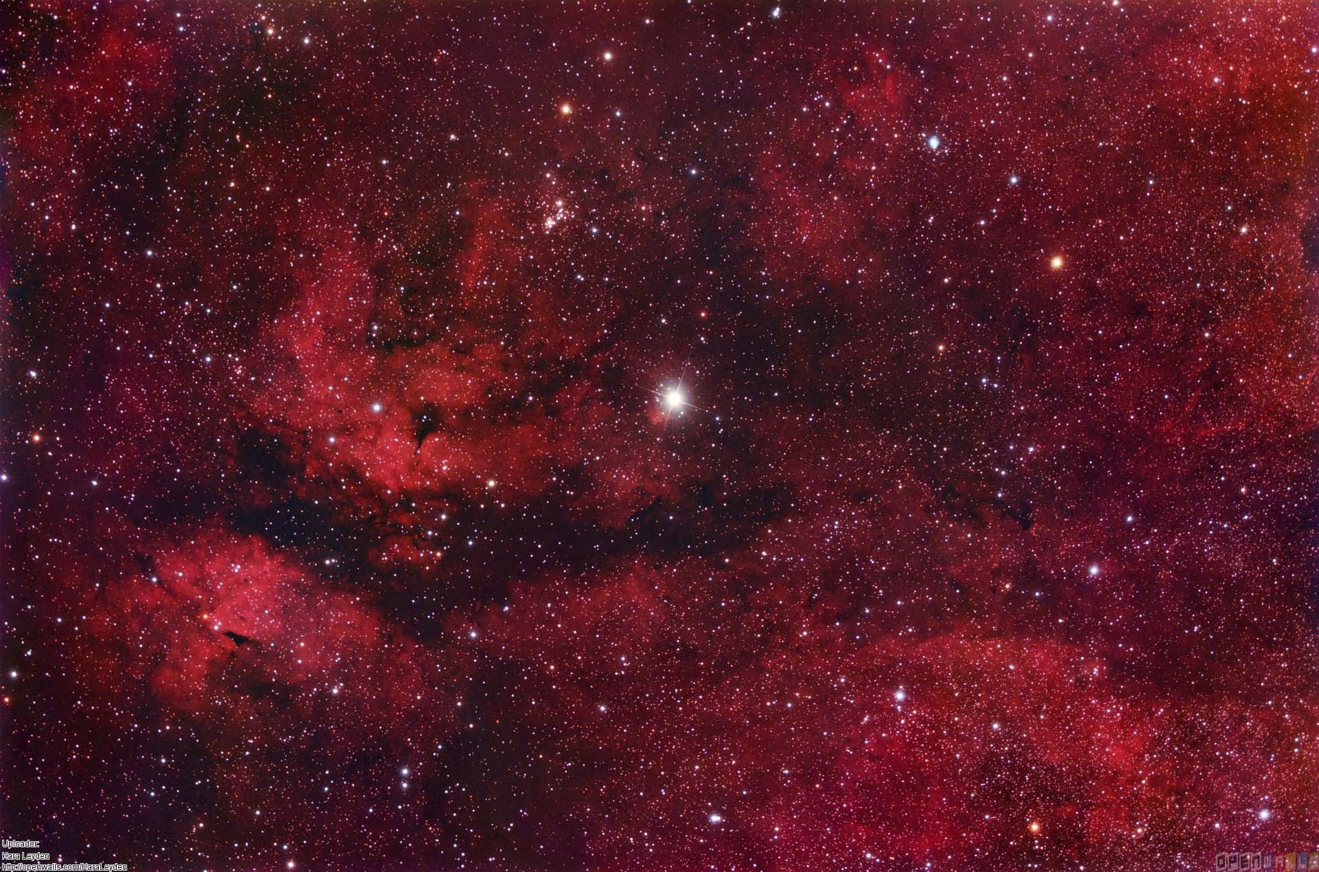 Enchanting Red Space Backdrop