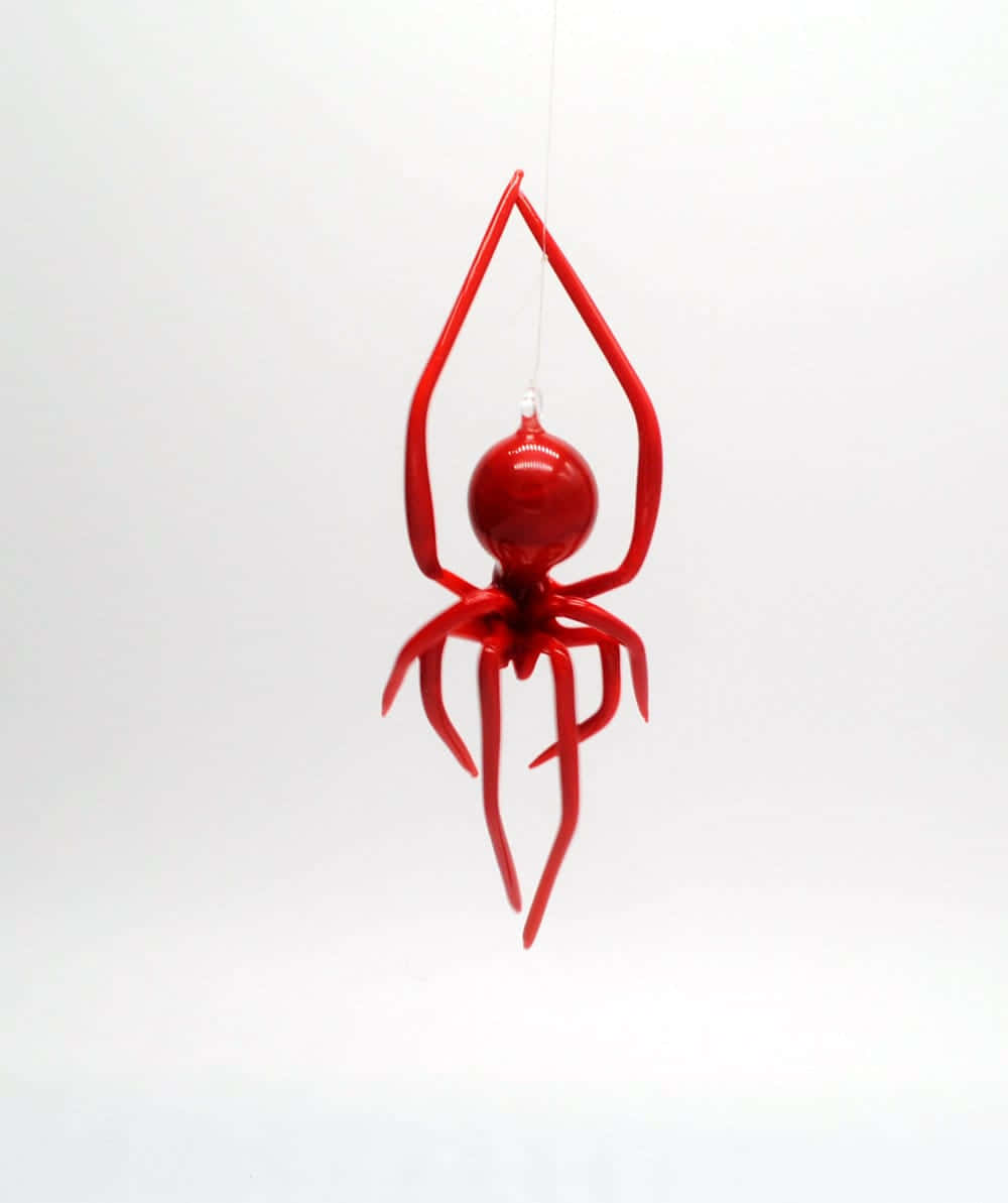 Captivating Red Spider Up Close Wallpaper