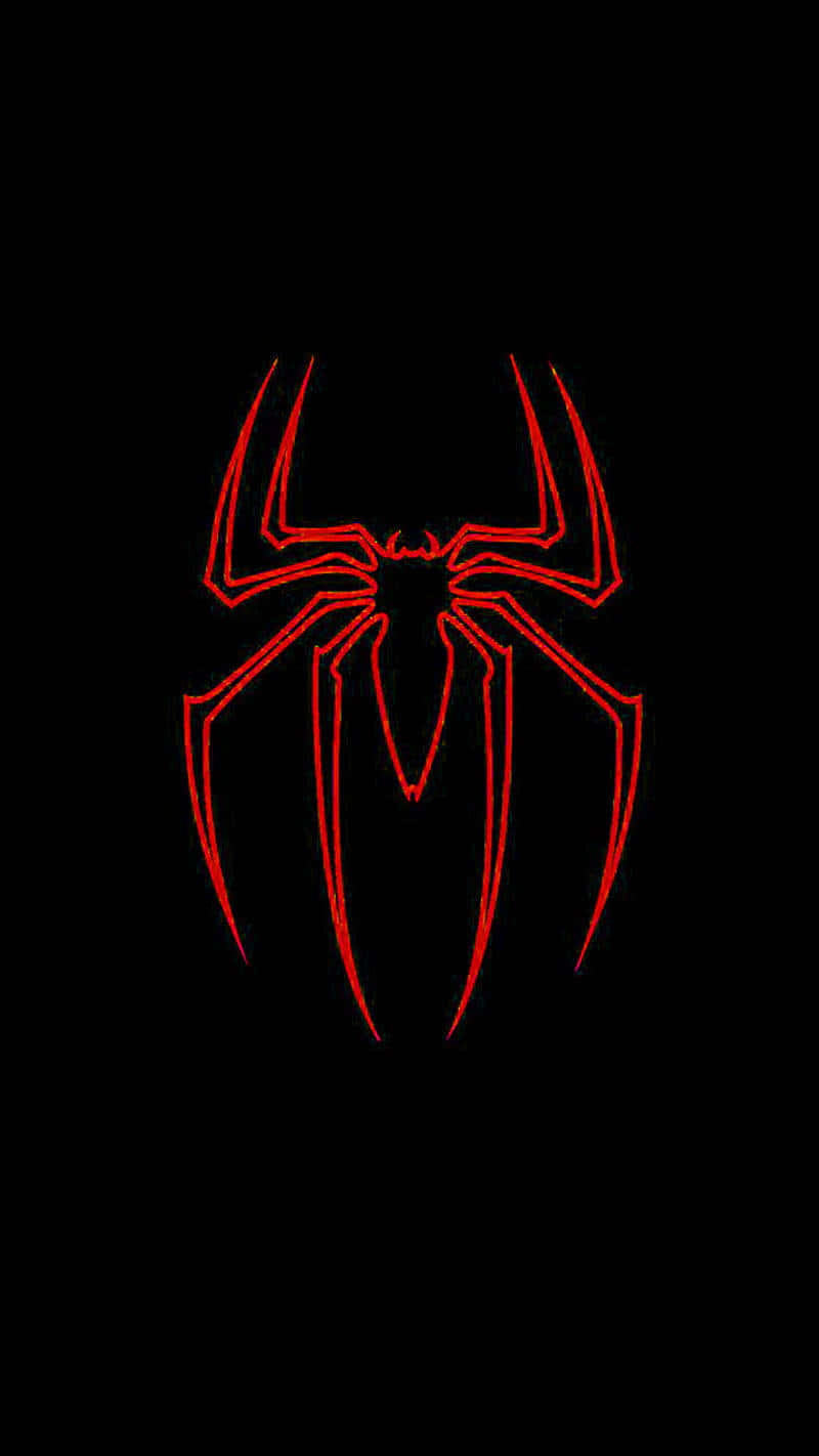 Stunning Red Spider on Web Wallpaper