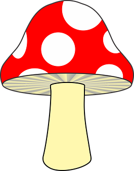 Red Spotted Mushroom Cartoon PNG