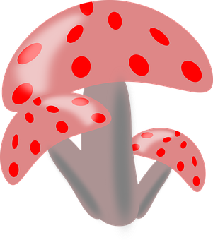 Red Spotted Mushrooms Illustration PNG