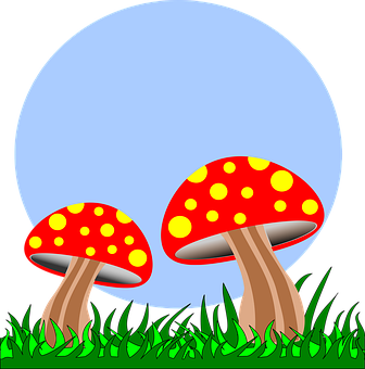 Red Spotted Mushrooms Night Illustration PNG