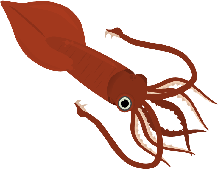 Red Squid Illustration PNG