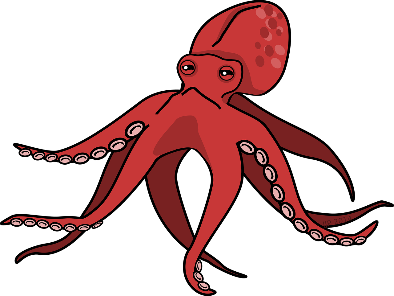 Red Squid Illustration PNG