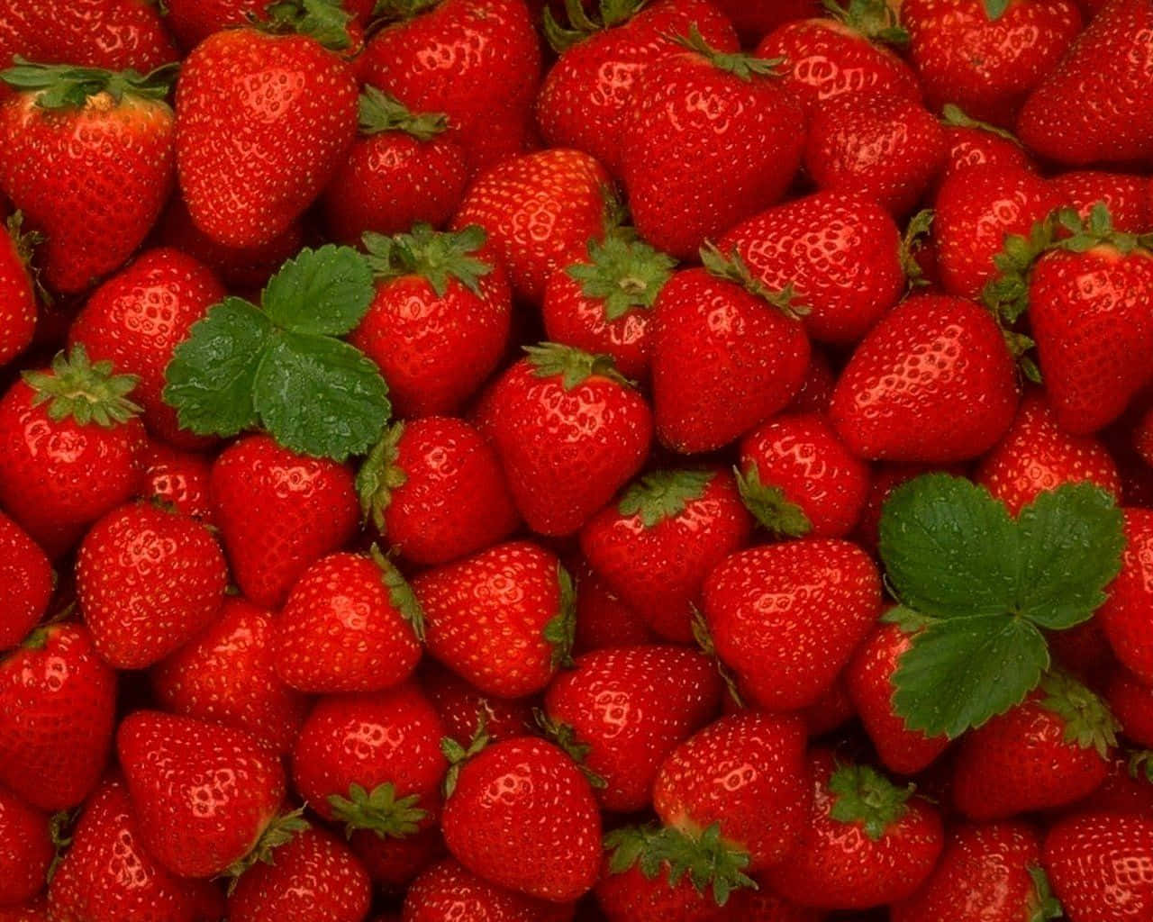 Fresh Red Strawberry Close-up Wallpaper