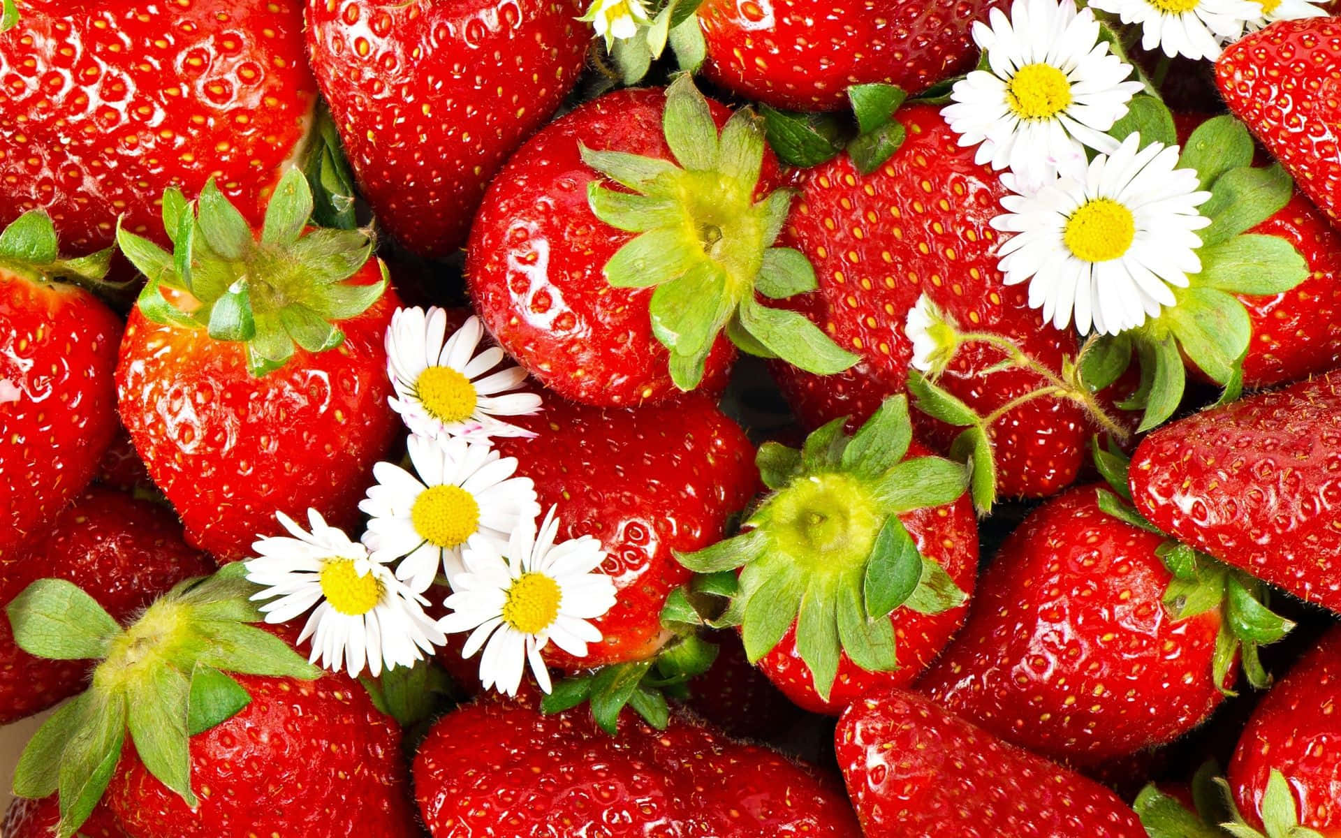 Juicy Red Strawberry Close-up Wallpaper