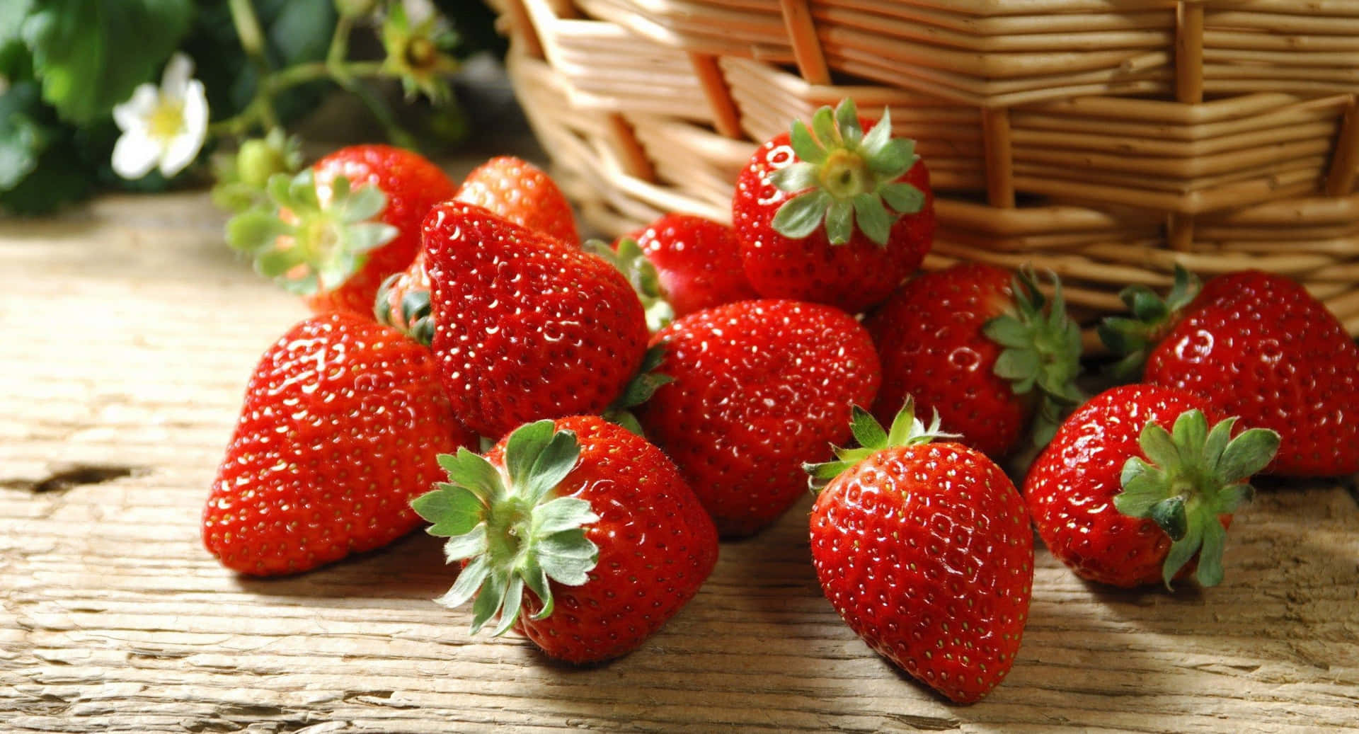 Fresh, Vibrant Red Strawberries Wallpaper Wallpaper