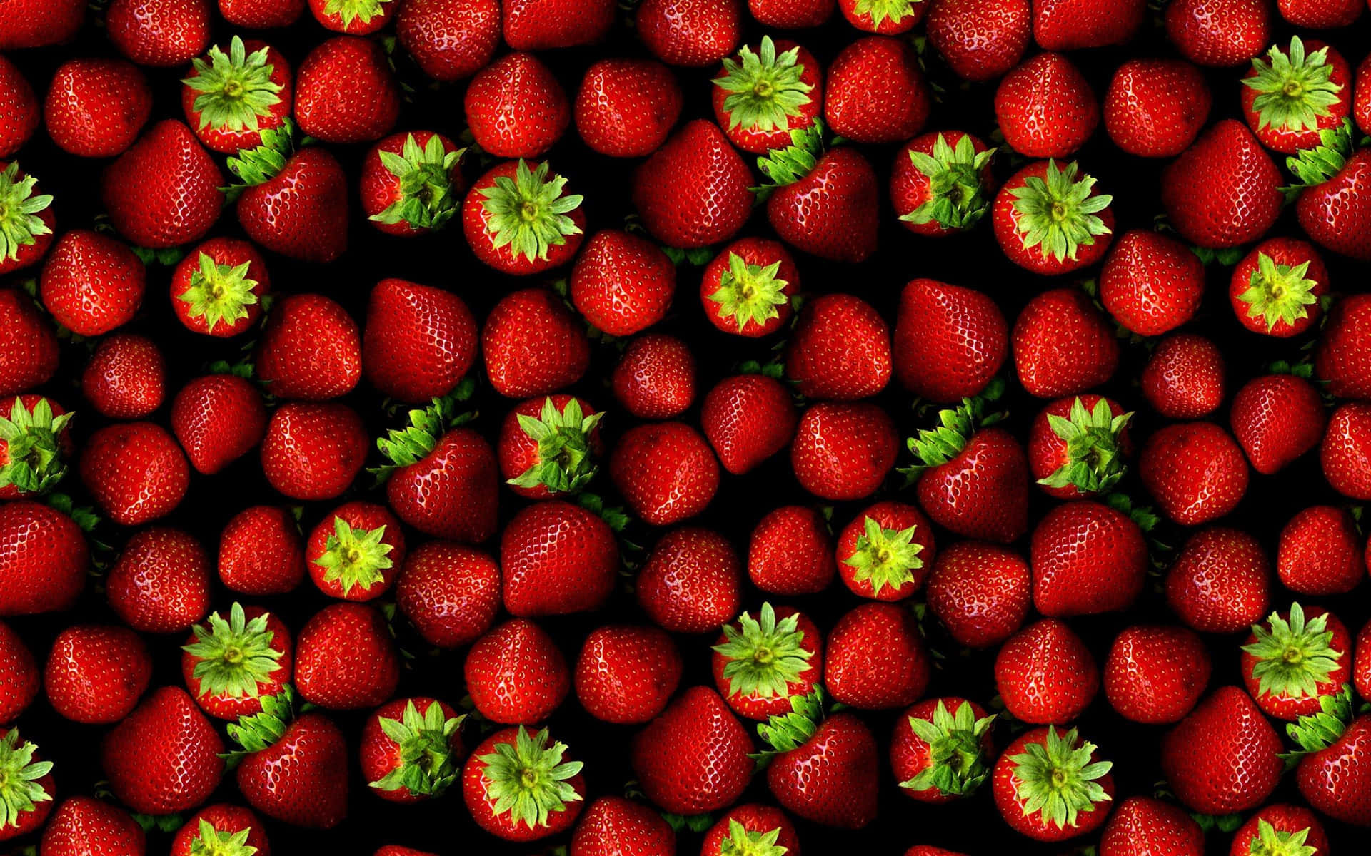 Juicy Red Strawberry on a Blurred Background Wallpaper