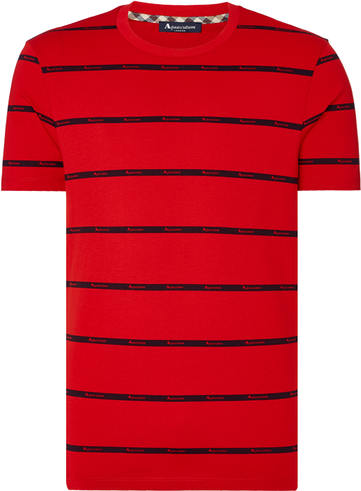 Red Striped Crewneck T Shirt PNG