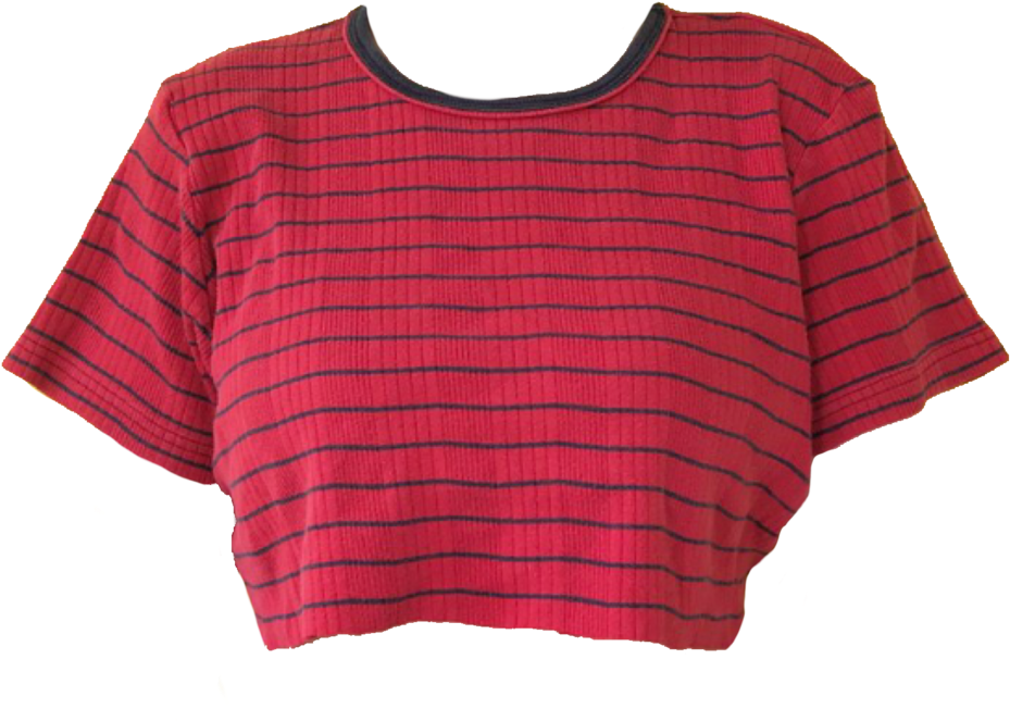 Red Striped Cropped Blouse PNG