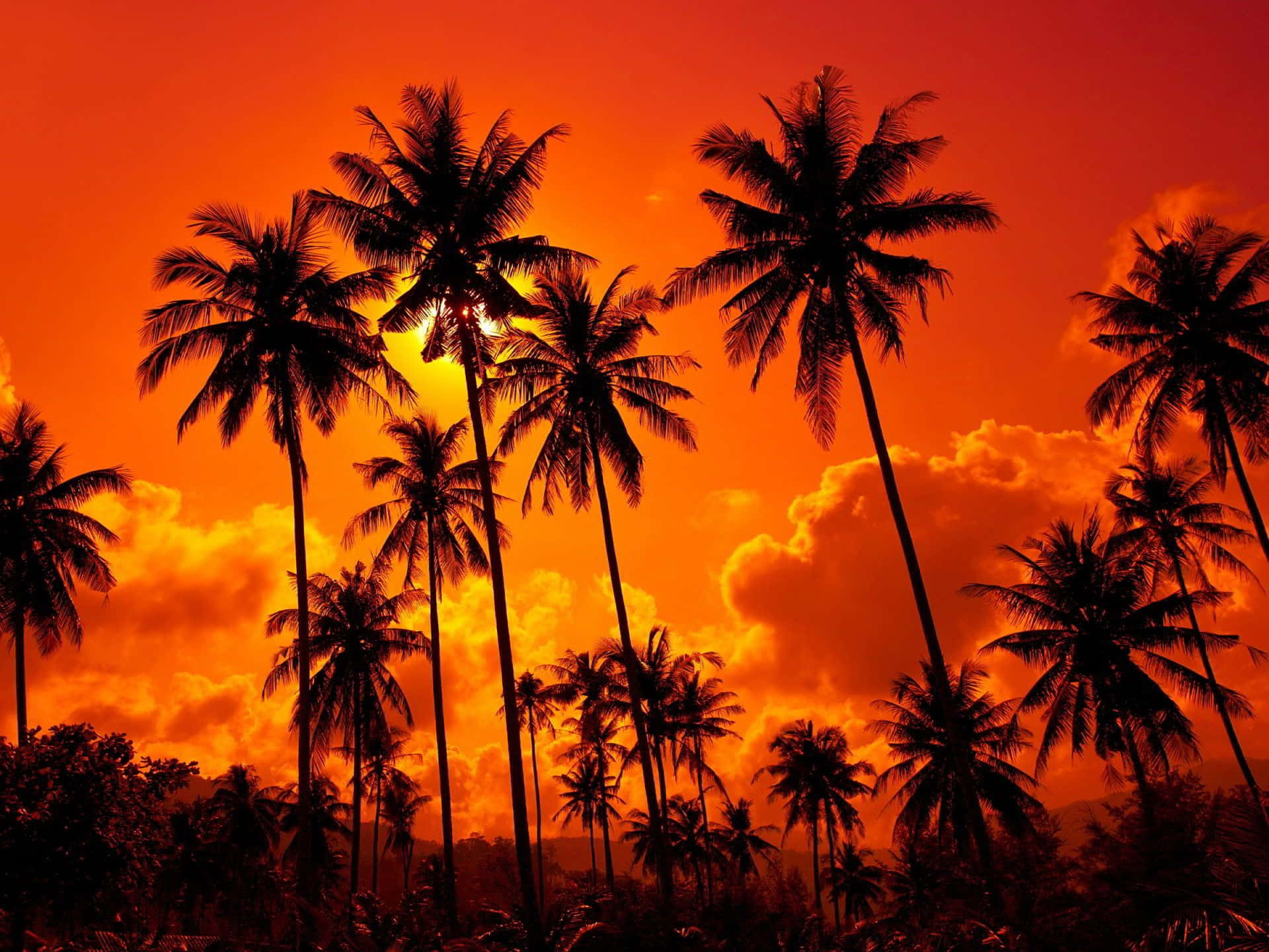 Caption: Stunning Red Sunset Sky Over the Horizon Wallpaper