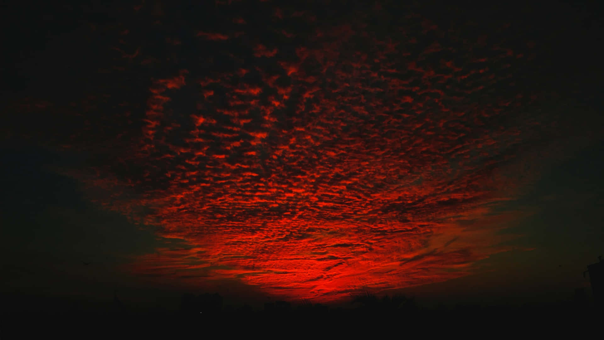 Majestic Red Sunset Over the Horizon Wallpaper