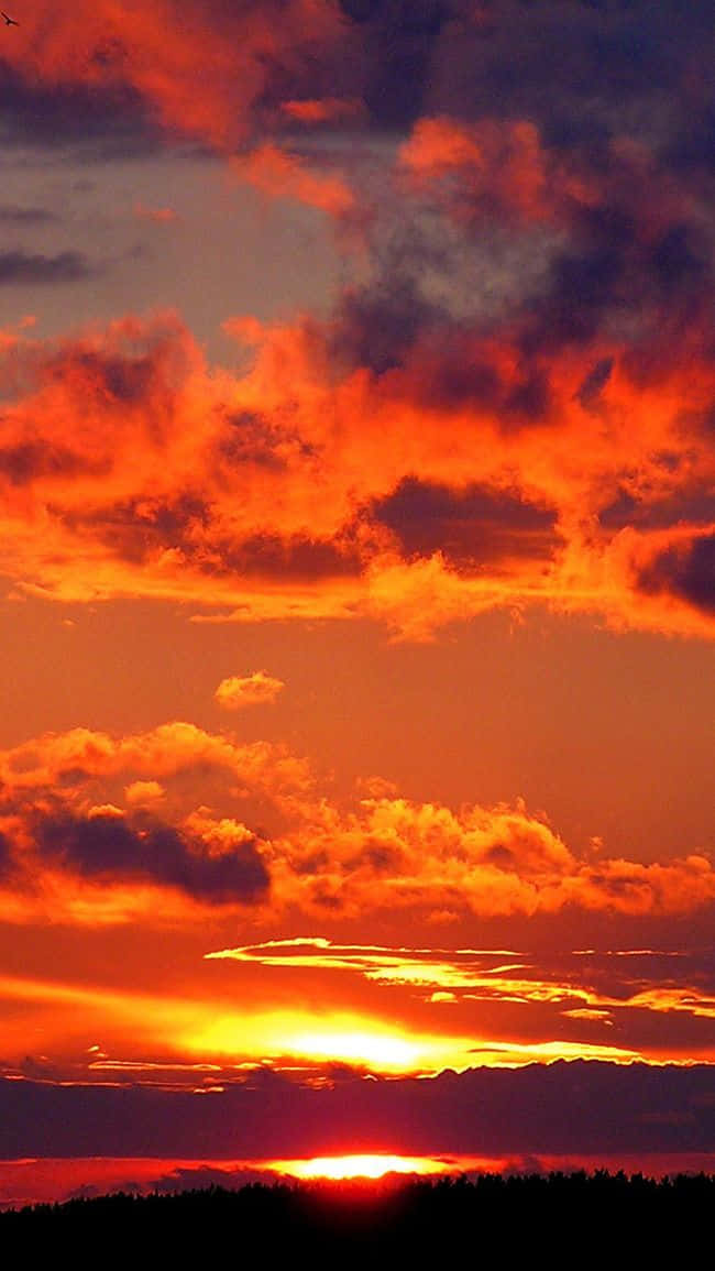 Red Sunset Cloud Wallpaper