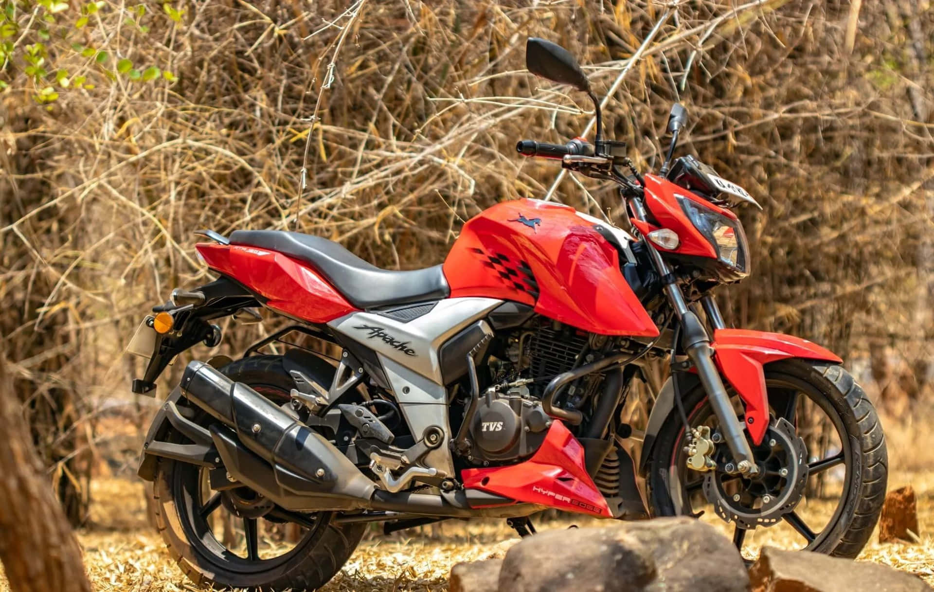 Sepeda Motor Tvs Apache Merah Di Alam Liar Wallpaper