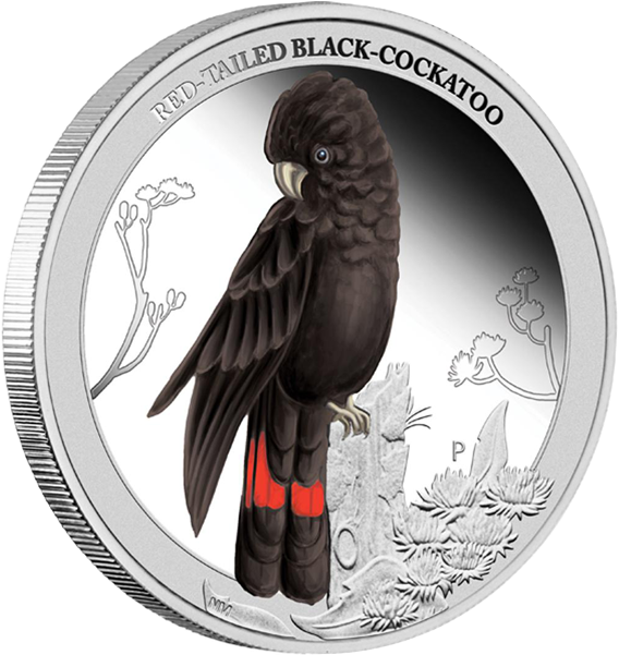 Red Tailed Black Cockatoo Coin PNG