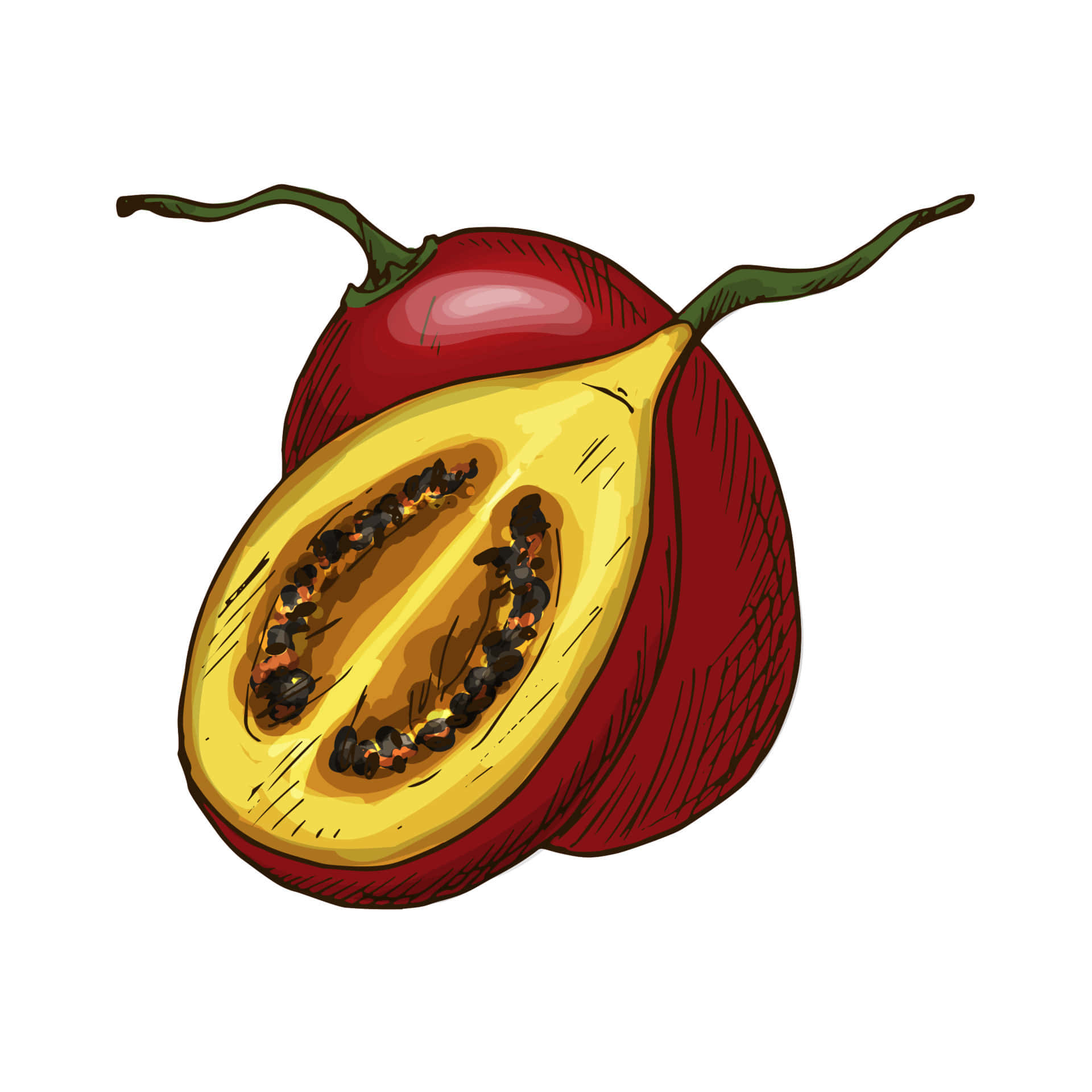 Red Tamarillo Fruit Artistic Illustration Wallpaper