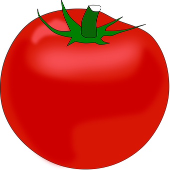 Red Tomato Illustration PNG