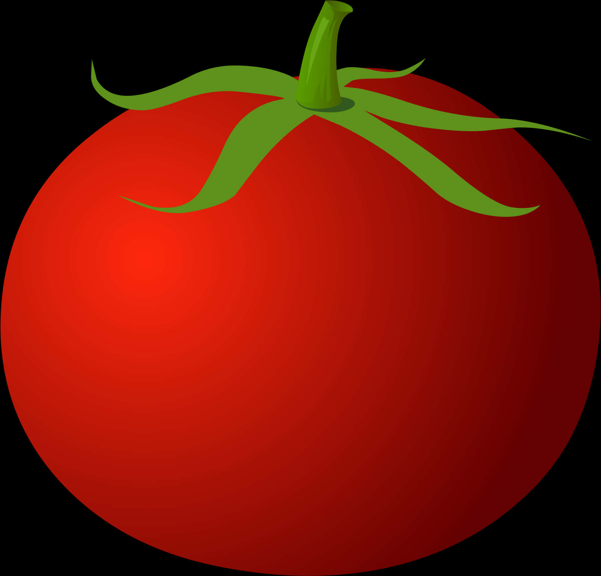 Red Tomato Illustration PNG