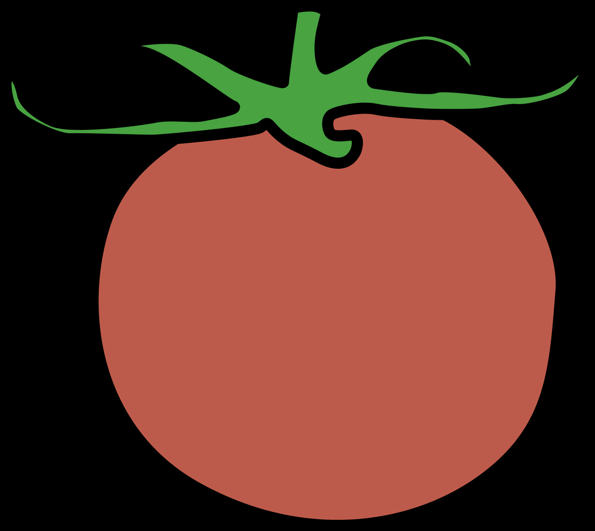 Red Tomato Vector Illustration PNG