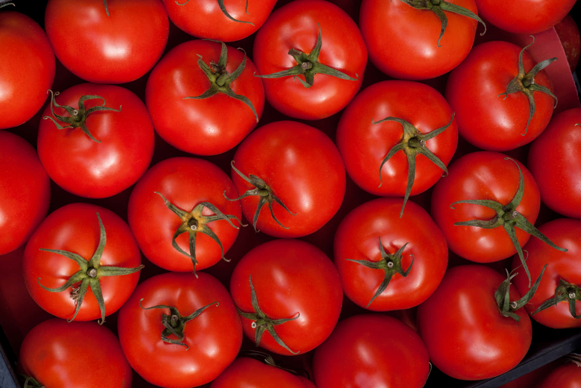 Røde tomater sund mad Wallpaper