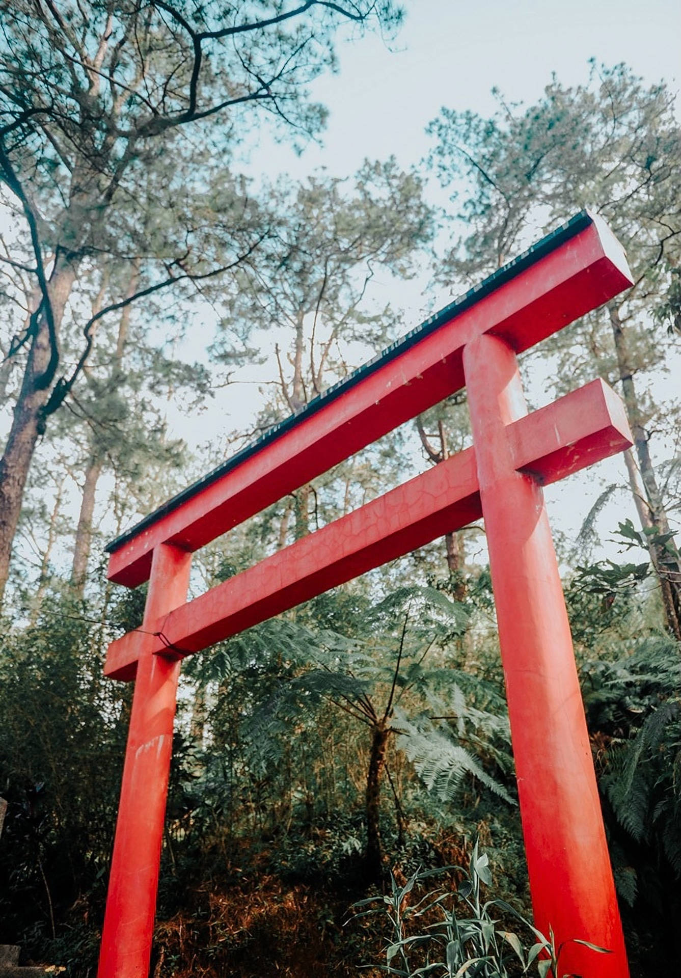 Red Torii Gate