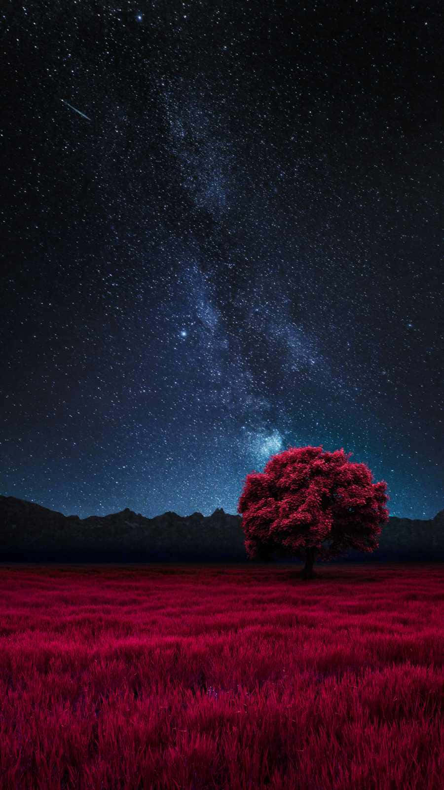 Rödträd Stjärnklar Natt Wallpaper