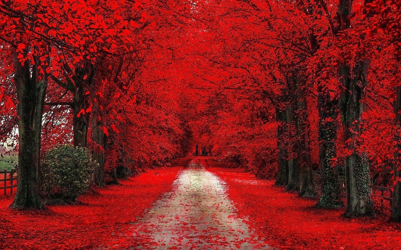 A tranquil scene of a red tree surrounded by nature Wallpaper