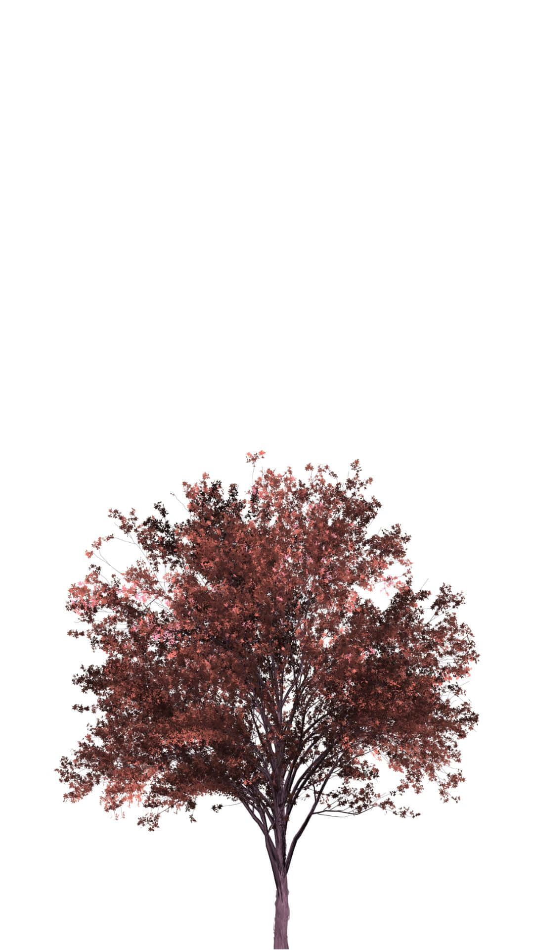 Red Tree in the Forest Wallpaper