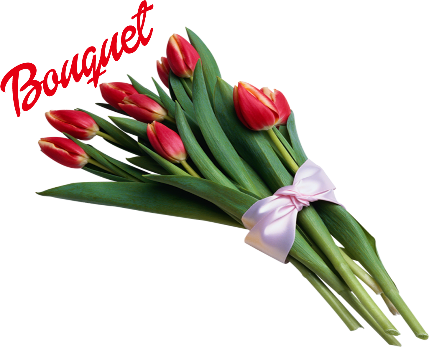 Red Tulip Bouquetwith Bow PNG