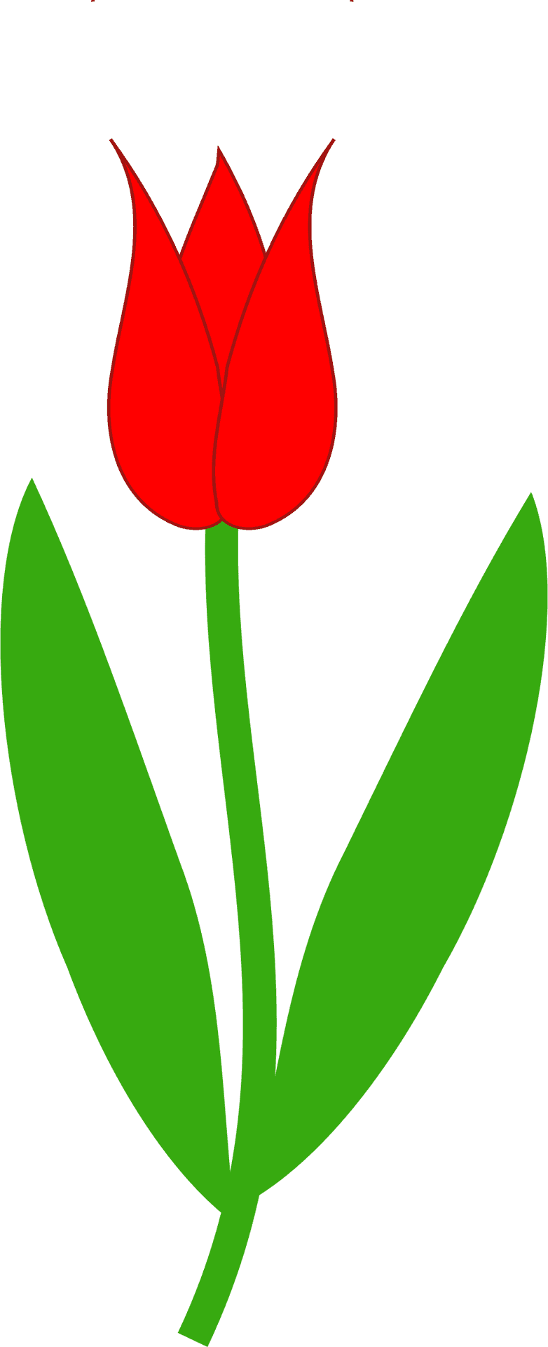 Red Tulip Simple Illustration PNG
