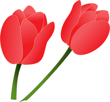 Red Tulips Vector Illustration PNG