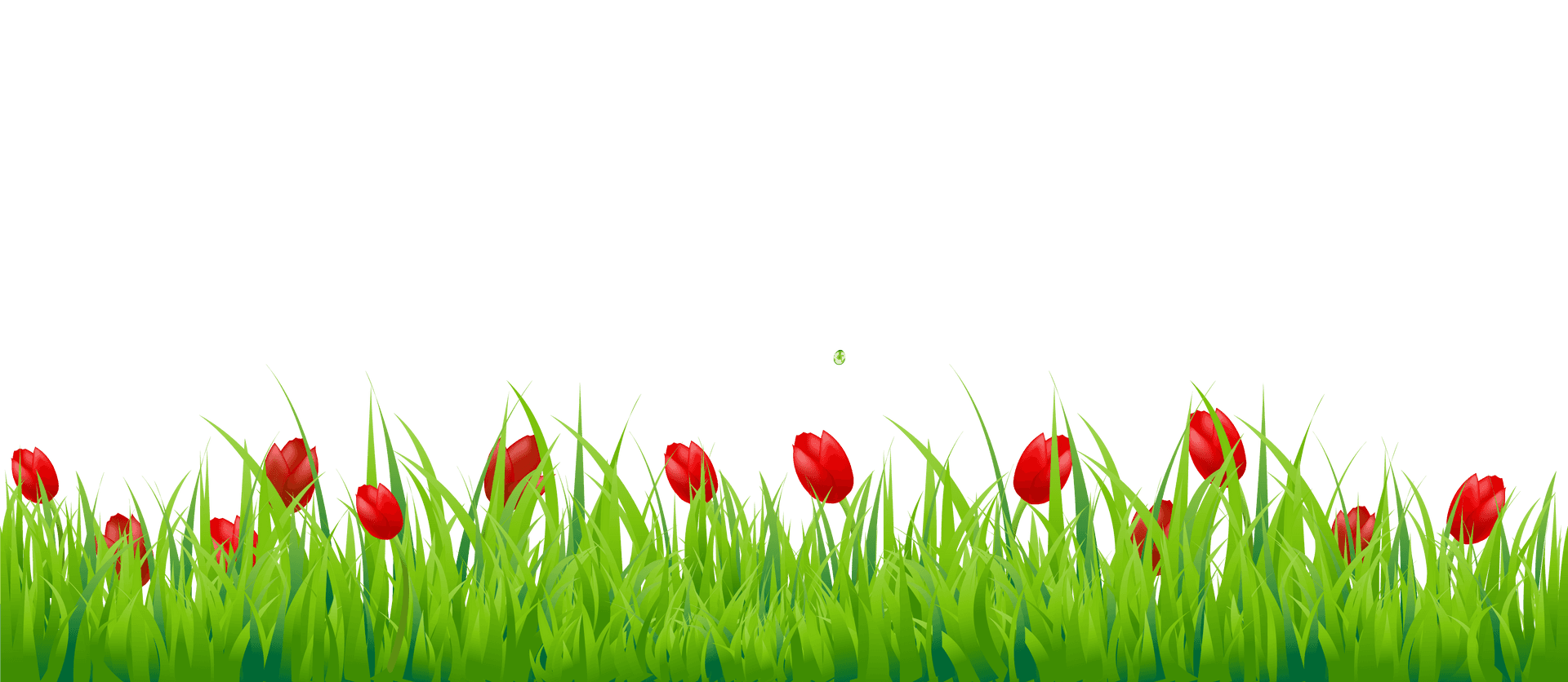 Red Tulipsin Green Grass PNG