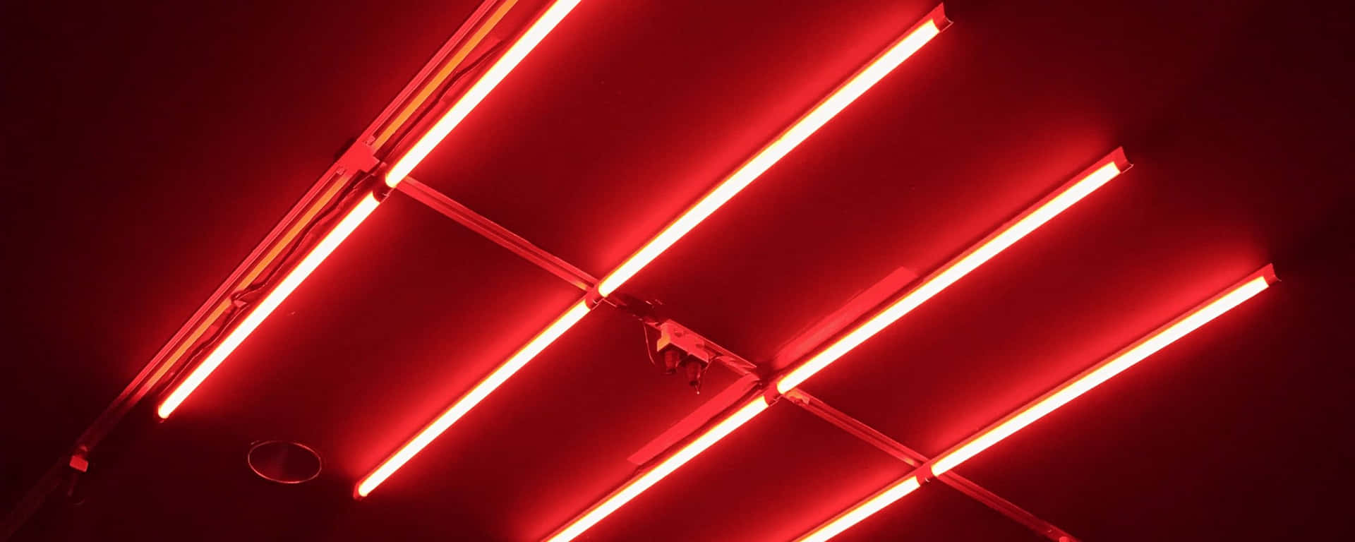 Lucefluorescente Rossa Ultra Wide In Alta Definizione Hd. Sfondo