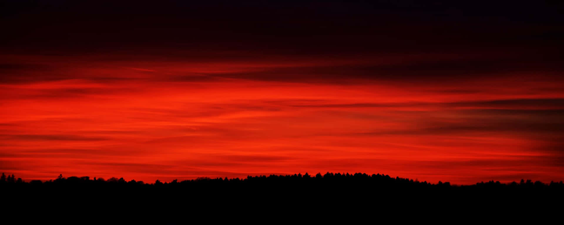 Bloody Sky With Forest Red Ultra Wide HD Wallpaper