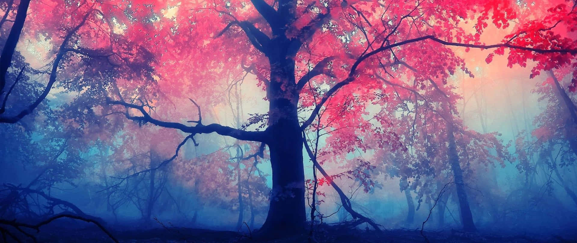Enchanting Forest Red Ultra Wide HD Wallpaper