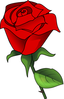 Red Vector Rose Art PNG