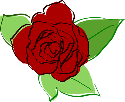 Red Vector Rose Illustration PNG