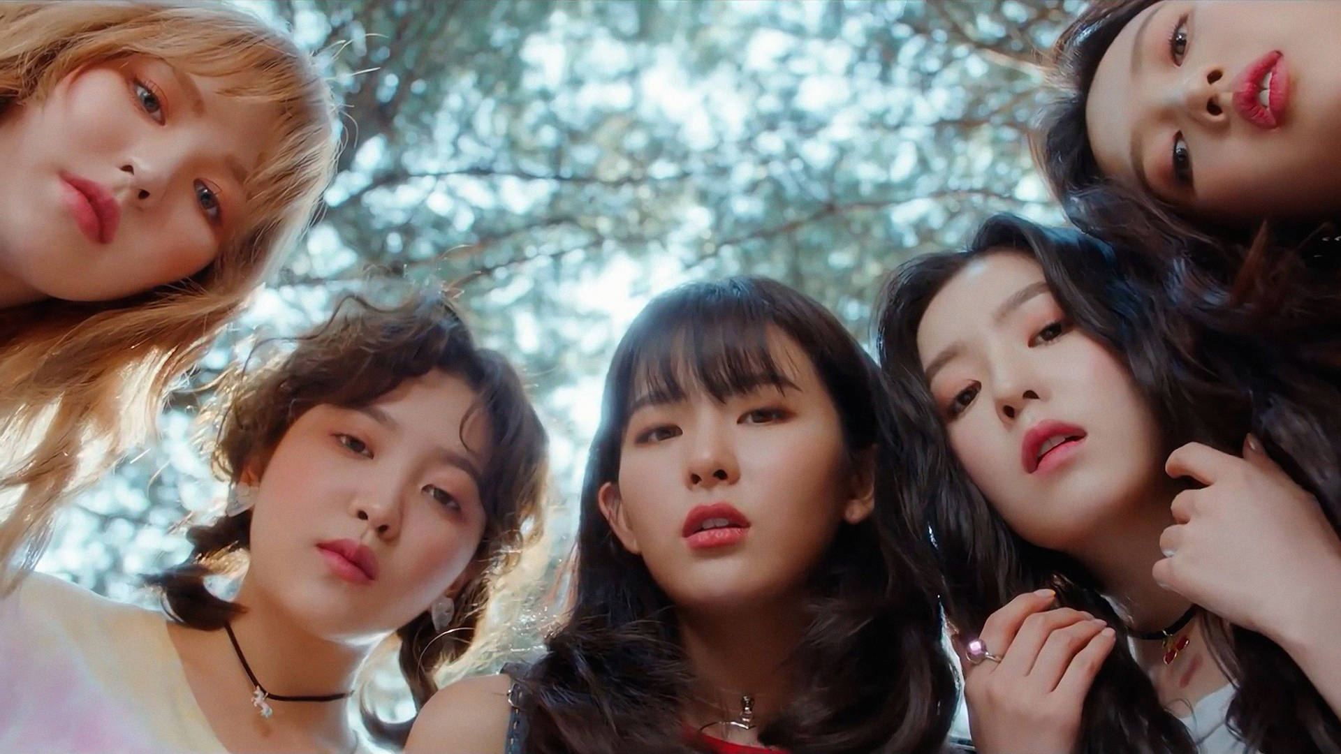 Red Velvet Close-Up Wallpaper