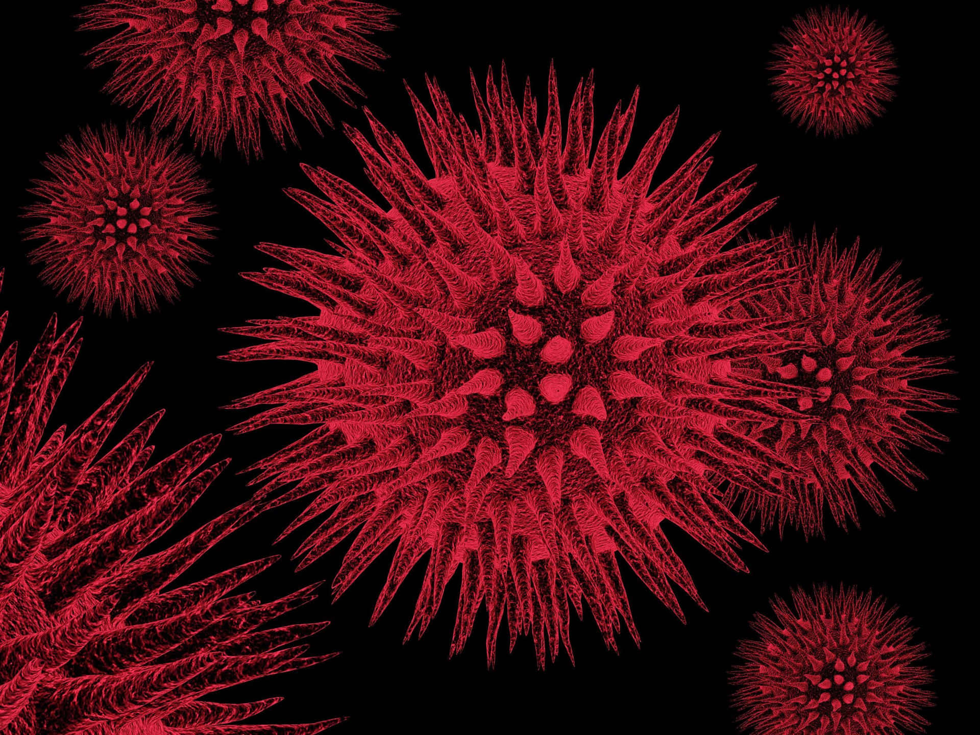 Red Virus Cells Illustration Wallpaper