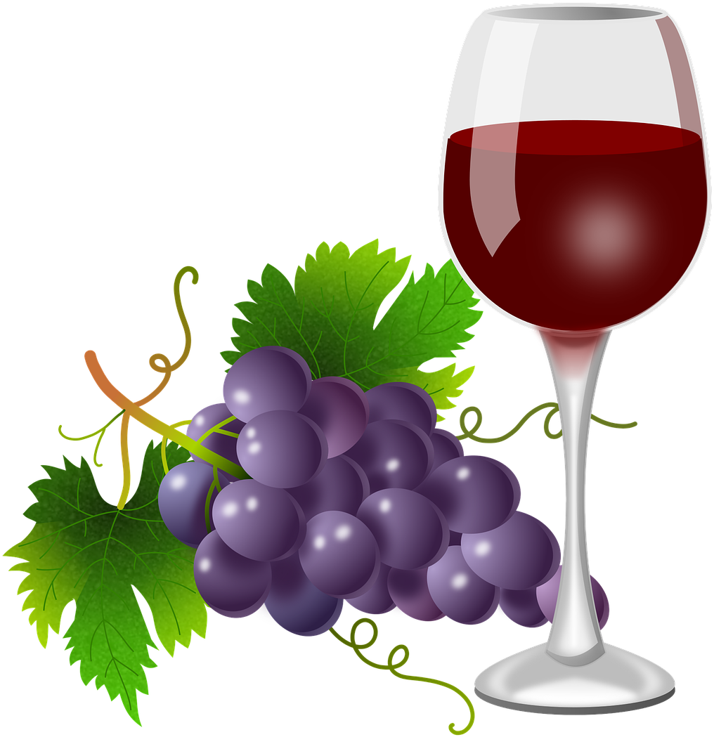 Red Wine Glassand Grapes Illustration PNG