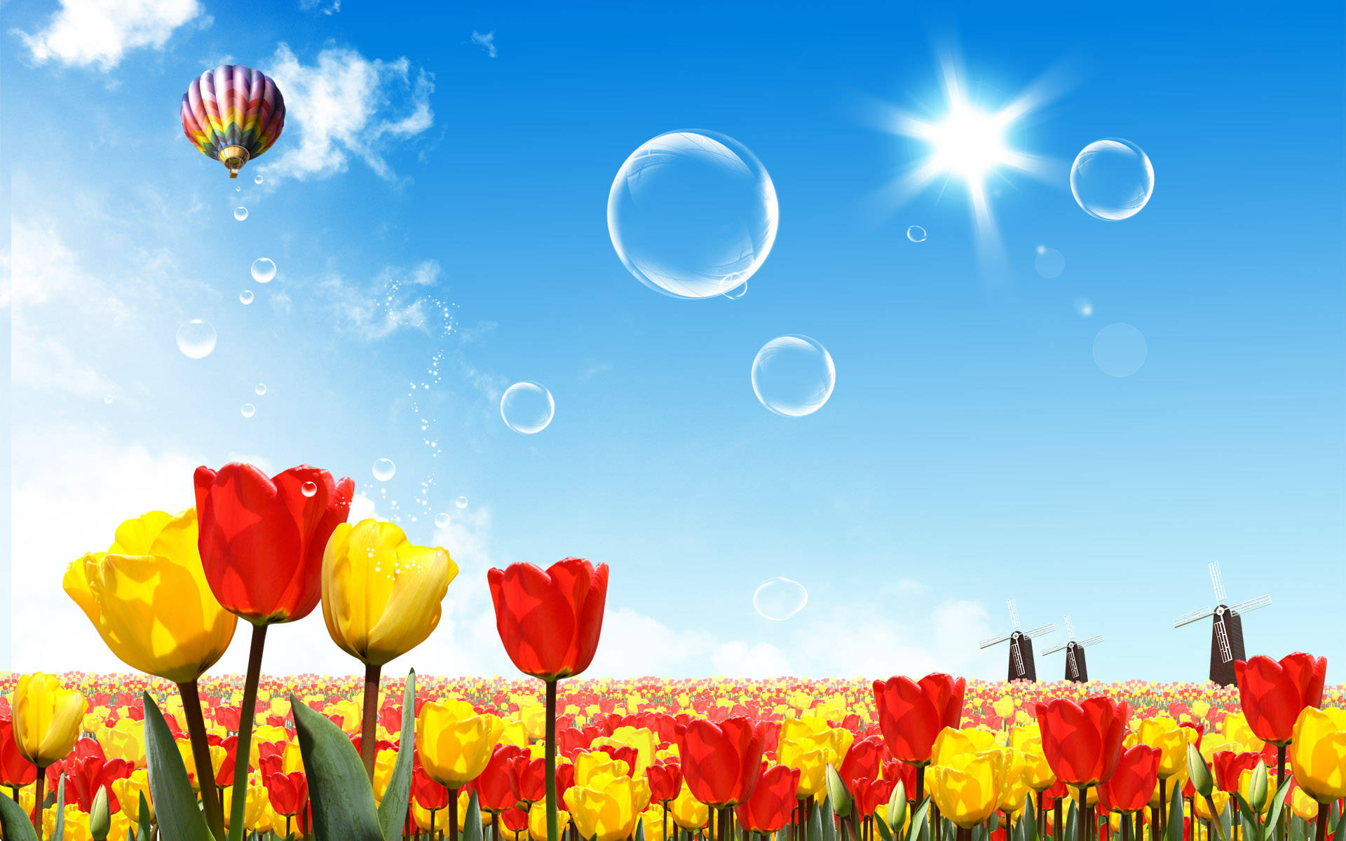 Red Yellow Tulips On Summer Morning Screen Saver Wallpaper