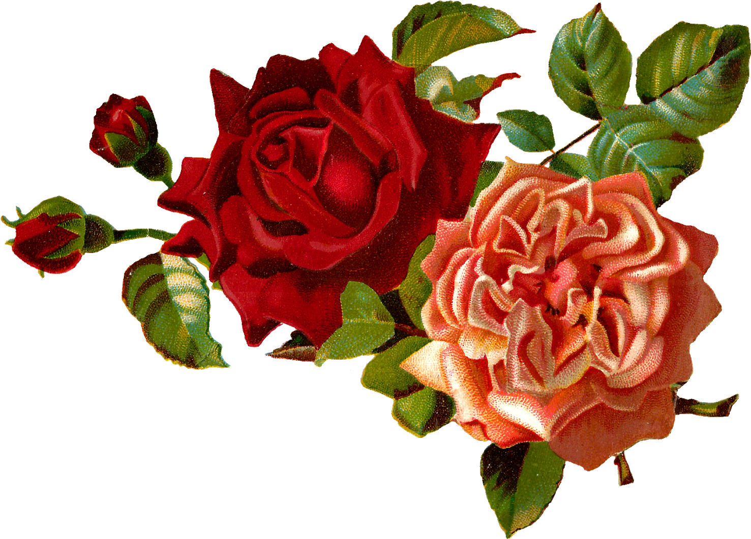 Red_and_ Peach_ Roses_ Arrangement.png PNG